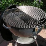 NeoTrout's Elevated Half Grill